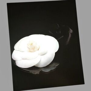 Chanel Art Print White Camellia Flower